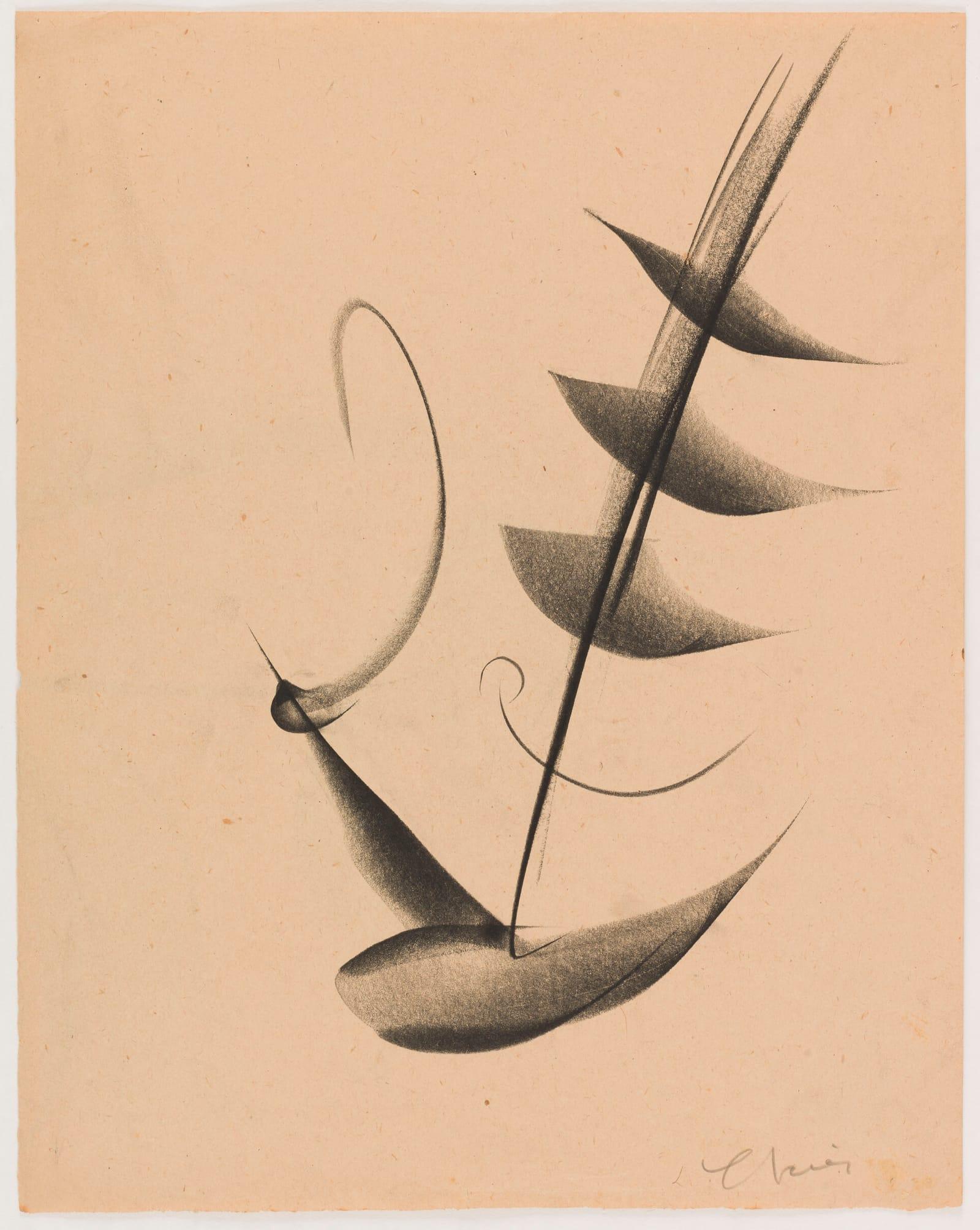 Sans titre, fusain sur papier